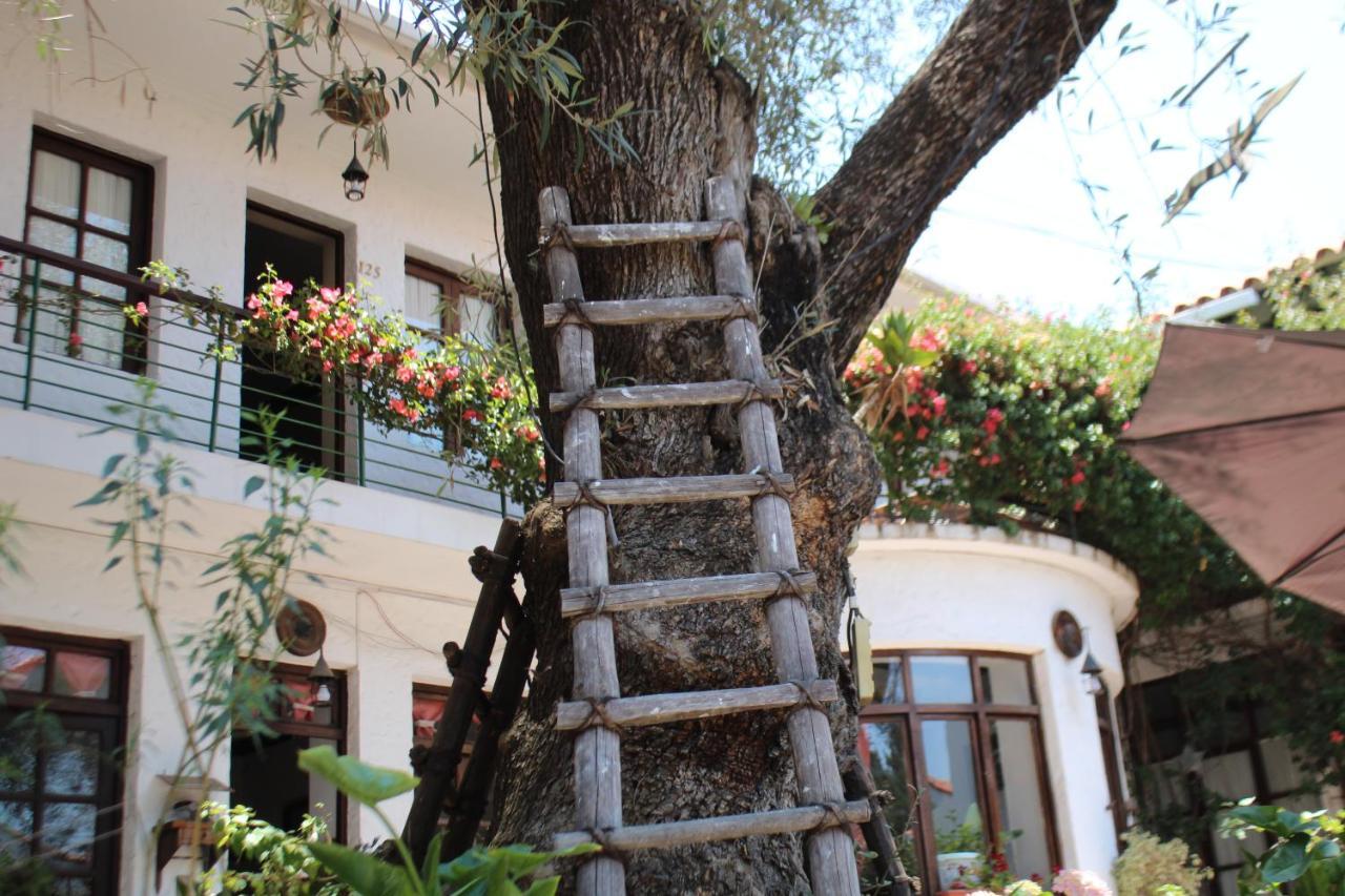 Hostal Viejo Olivo Sucre Exterior photo